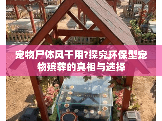 宠物尸体风干用?探究环保型宠物殡葬的真相与选择