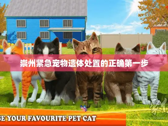 崇州紧急宠物遗体处置的正确第一步