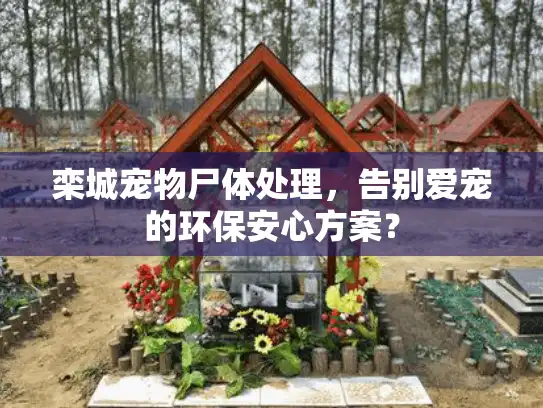 栾城宠物尸体处理，告别爱宠的环保安心方案？