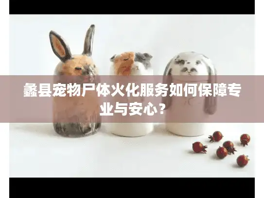 蠡县宠物尸体火化服务如何保障专业与安心？