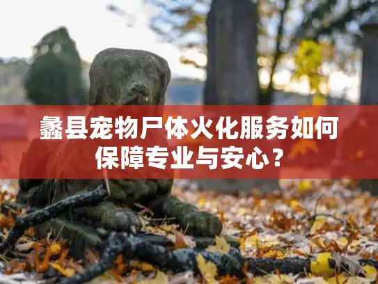 蠡县宠物尸体火化服务如何保障专业与安心？