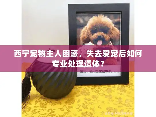 西宁宠物主人困惑，失去爱宠后如何专业处理遗体？