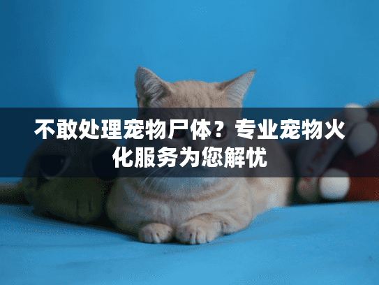 不敢处理宠物尸体？专业宠物火化服务为您解忧