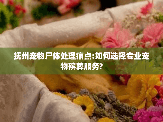 抚州宠物尸体处理痛点:如何选择专业宠物殡葬服务? 抚州宠物尸体处理痛点:如何选择专业宠物殡葬服务?