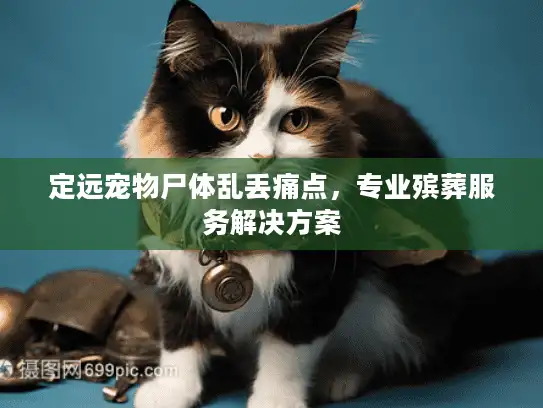 定远宠物尸体乱丢痛点，专业殡葬服务解决方案