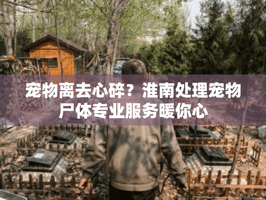 宠物离去心碎？淮南处理宠物尸体专业服务暖你心