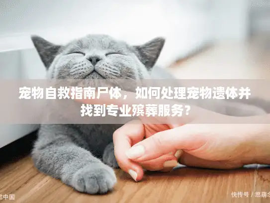 宠物自救指南尸体，如何处理宠物遗体并找到专业殡葬服务？