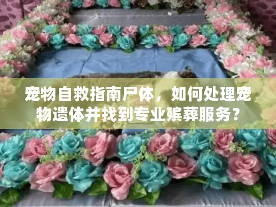 宠物自救指南尸体，如何处理宠物遗体并找到专业殡葬服务？