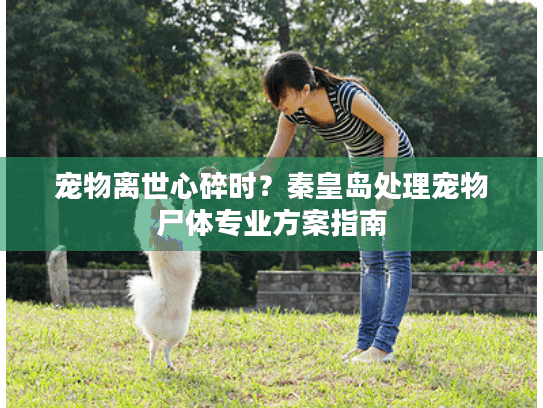 宠物离世心碎时？秦皇岛处理宠物尸体专业方案指南