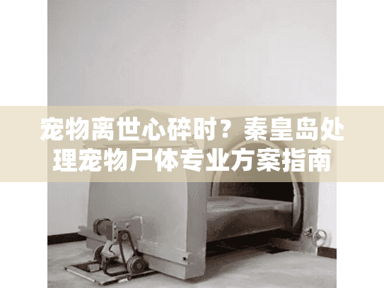 宠物离世心碎时？秦皇岛处理宠物尸体专业方案指南