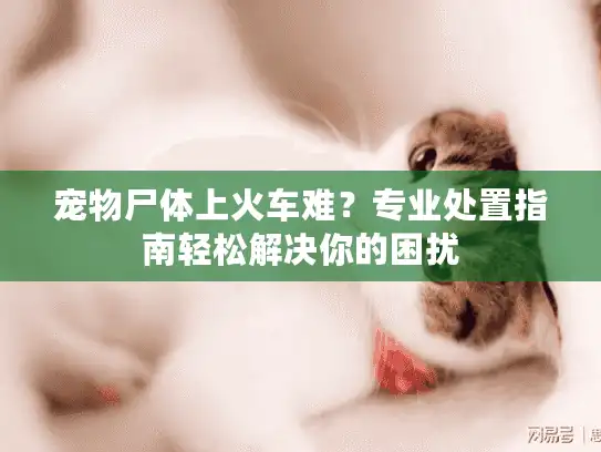 宠物尸体上火车难？专业处置指南轻松解决你的困扰