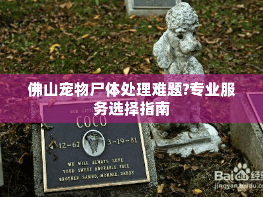 佛山宠物尸体处理难题?专业服务选择指南
