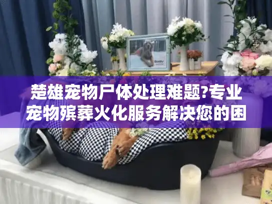 楚雄宠物尸体处理难题?专业宠物殡葬火化服务解决您的困扰 楚雄宠物尸体处理难题?专业宠物殡葬火化服务解决您的困扰