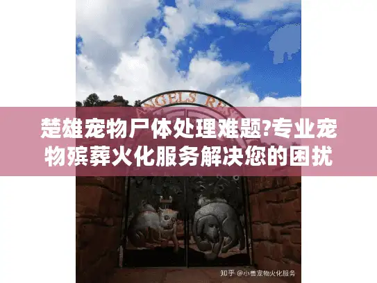 楚雄宠物尸体处理难题?专业宠物殡葬火化服务解决您的困扰 楚雄宠物尸体处理难题?专业宠物殡葬火化服务解决您的困扰
