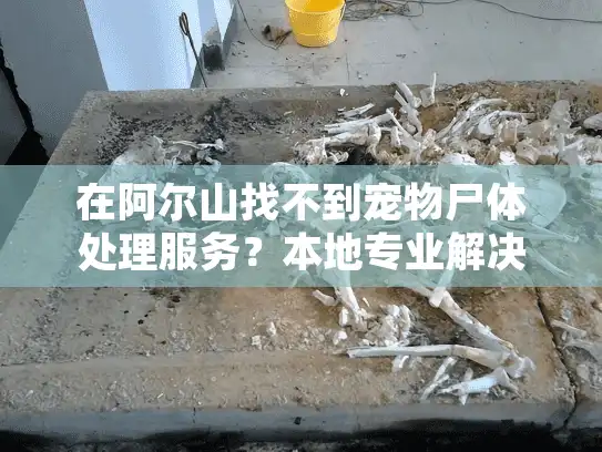 在阿尔山找不到宠物尸体处理服务?本地专业解决方案来了 在阿尔山找不到宠物尸体处理服务?本地专业解决方案来了
