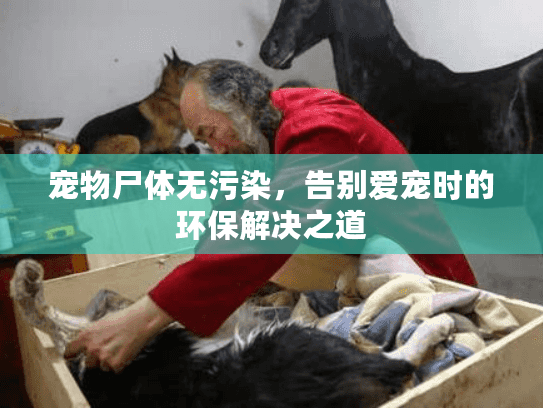 宠物尸体无污染，告别爱宠时的环保解决之道