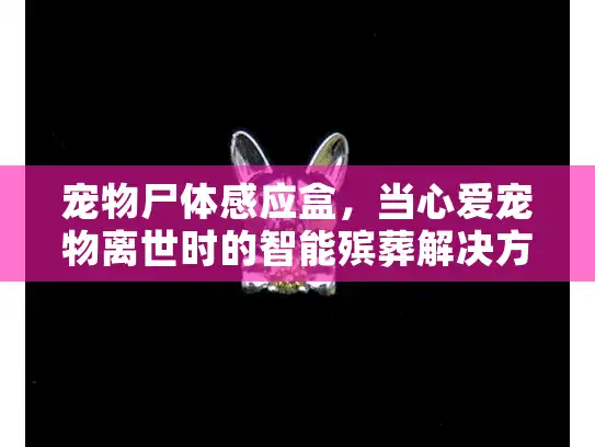 宠物尸体感应盒,当心爱宠物离世时的智能殡葬解决方案 宠物尸体感应盒,当心爱宠物离世时的智能殡葬解决方案