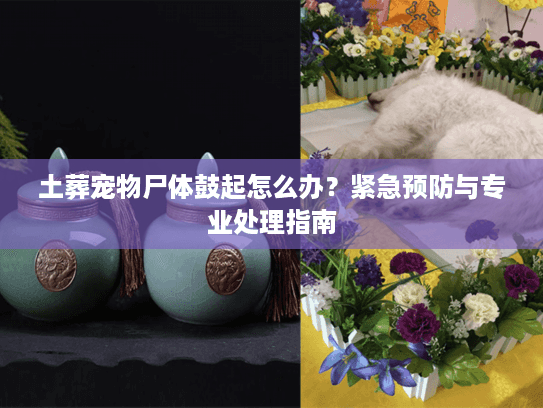 土葬宠物尸体鼓起怎么办？紧急预防与专业处理指南