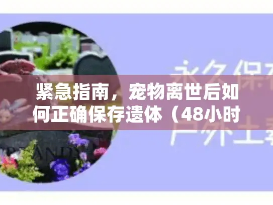 紧急指南,宠物离世后如何正确保存遗体(48小时关键期) 紧急指南,宠物离世后如何正确保存遗体(48小时关键期)