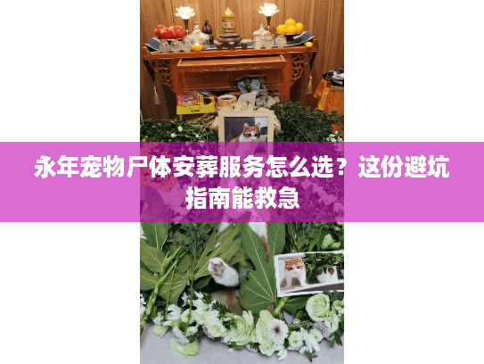 永年宠物尸体安葬服务怎么选？这份避坑指南能救急