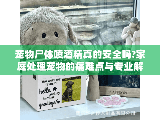 宠物尸体喷酒精真的安全吗?家庭处理宠物的痛难点与专业解答 宠物尸体喷酒精真的安全吗?家庭处理宠物的痛难点与专业解答