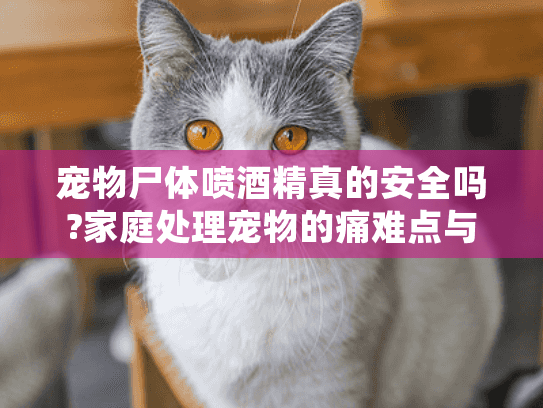 宠物尸体喷酒精真的安全吗?家庭处理宠物的痛难点与专业解答 宠物尸体喷酒精真的安全吗?家庭处理宠物的痛难点与专业解答
