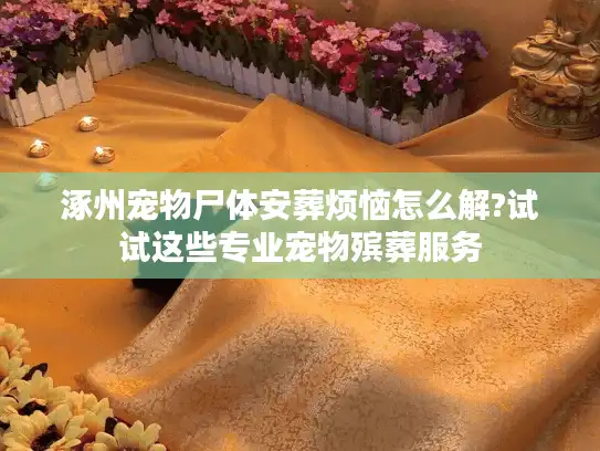 涿州宠物尸体安葬烦恼怎么解?试试这些专业宠物殡葬服务