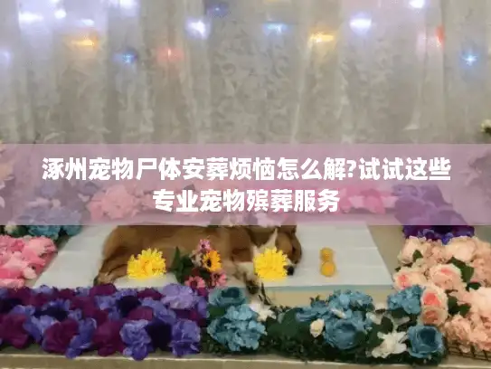 涿州宠物尸体安葬烦恼怎么解?试试这些专业宠物殡葬服务