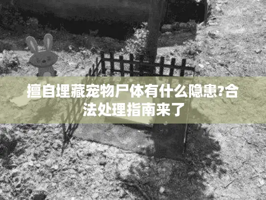 擅自埋藏宠物尸体有什么隐患?合法处理指南来了