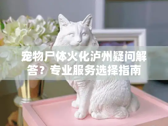 宠物尸体火化泸州疑问解答？专业服务选择指南