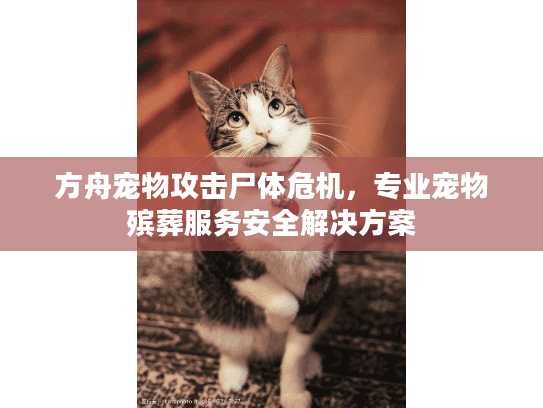 方舟宠物攻击尸体危机，专业宠物殡葬服务安全解决方案