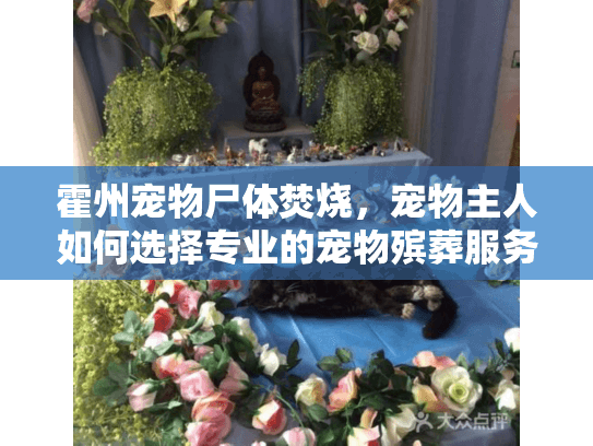 霍州宠物尸体焚烧，宠物主人如何选择专业的宠物殡葬服务？