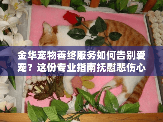 金华宠物善终服务如何告别爱宠？这份专业指南抚慰悲伤心灵