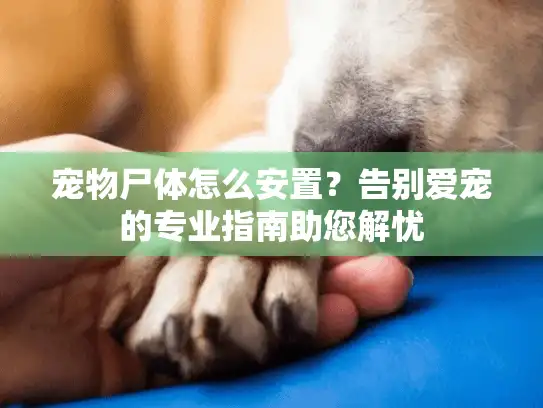 宠物尸体怎么安置?告别爱宠的专业指南助您解忧 宠物尸体怎么安置?告别爱宠的专业指南助您解忧