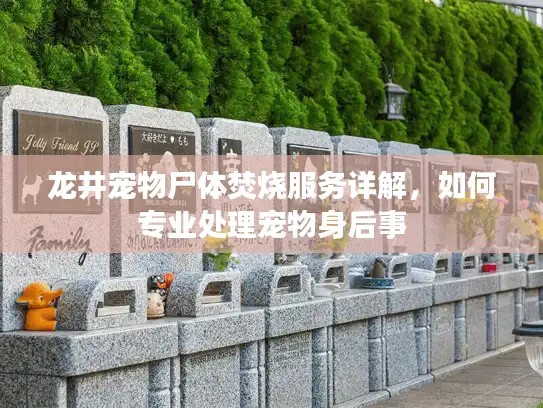龙井宠物尸体焚烧服务详解，如何专业处理宠物身后事