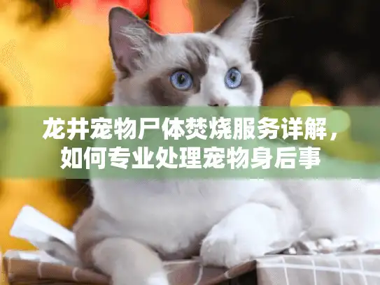 龙井宠物尸体焚烧服务详解，如何专业处理宠物身后事