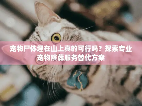 宠物尸体埋在山上真的可行吗？探索专业宠物殡葬服务替代方案