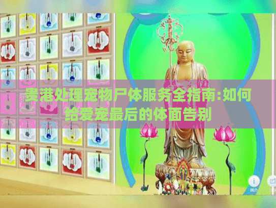 贵港处理宠物尸体服务全指南:如何给爱宠最后的体面告别