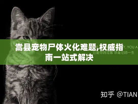 嵩县宠物尸体火化难题,权威指南一站式解决 嵩县宠物尸体火化难题,权威指南一站式解决