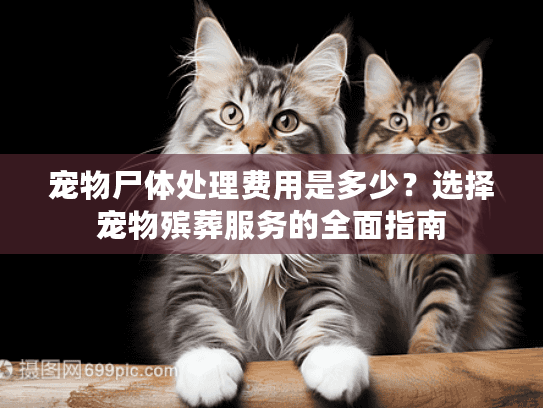 宠物尸体处理费用是多少?选择宠物殡葬服务的全面指南 宠物尸体处理费用是多少?选择宠物殡葬服务的全面指南