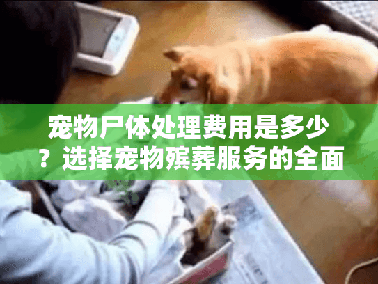 宠物尸体处理费用是多少?选择宠物殡葬服务的全面指南 宠物尸体处理费用是多少?选择宠物殡葬服务的全面指南
