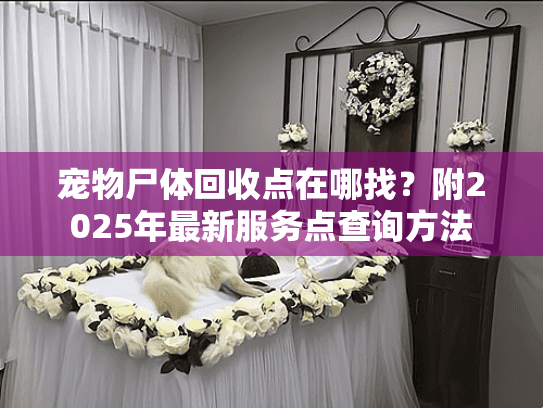 宠物尸体回收点在哪找？附2025年最新服务点查询方法