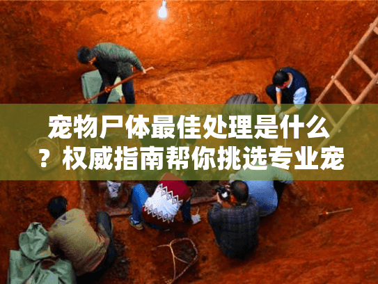 宠物尸体最佳处理是什么？权威指南帮你挑选专业宠物殡葬服务