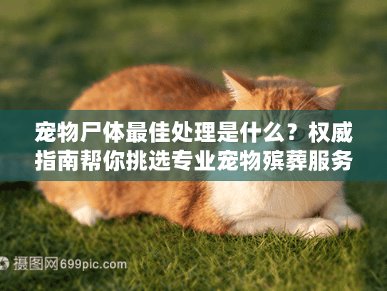 宠物尸体最佳处理是什么？权威指南帮你挑选专业宠物殡葬服务
