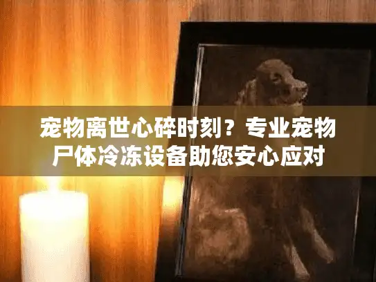 宠物离世心碎时刻？专业宠物尸体冷冻设备助您安心应对