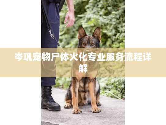 岑巩宠物尸体火化专业服务流程详解