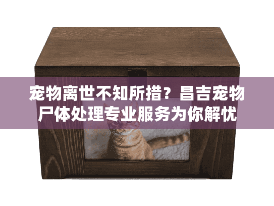 宠物离世不知所措？昌吉宠物尸体处理专业服务为你解忧