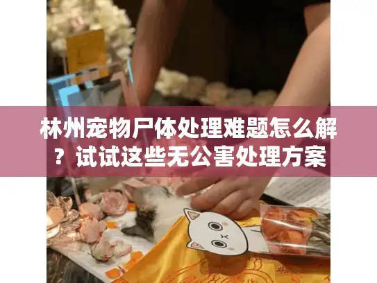 林州宠物尸体处理难题怎么解?试试这些无公害处理方案 林州宠物尸体处理难题怎么解?试试这些无公害处理方案