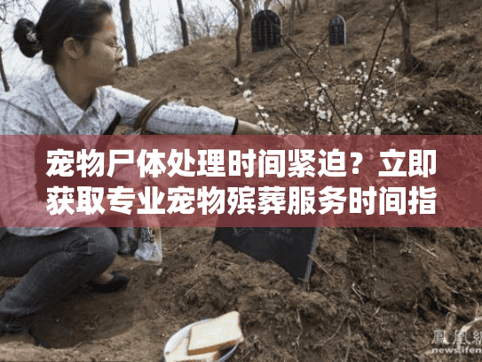 宠物尸体处理时间紧迫？立即获取专业宠物殡葬服务时间指南