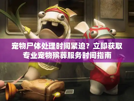 宠物尸体处理时间紧迫？立即获取专业宠物殡葬服务时间指南